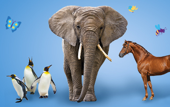3 penguins standing next to an elephant and a horse